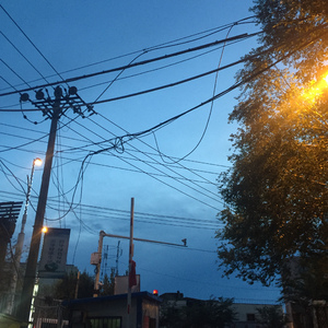 我要看女人日逼
