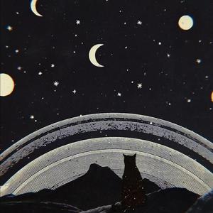 阿德大战陈玉滢最经典十句话
