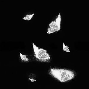 黑人操女人屁眼
