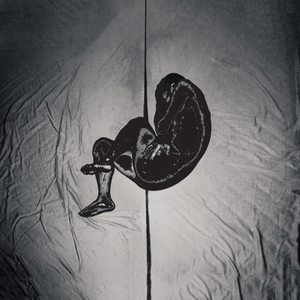 大乳Jαpαnese巨大乳
