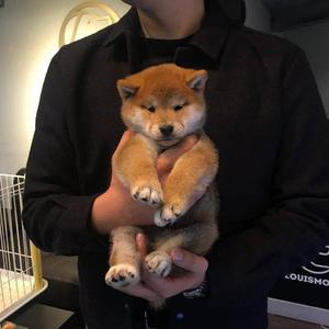 抖阴美女厕所偷拍
