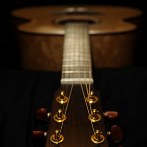 大鸡巴操逼电影
