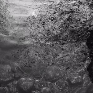 性色AV一区二区三区在线观看
