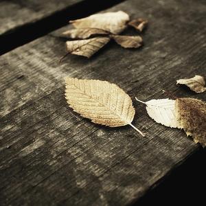 免费国产作爱视频网站
