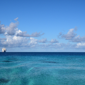 老公亲老婆下面一级毛片
