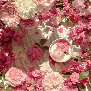 爱酱电影全集免费观看
