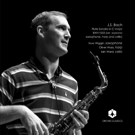 大乳Jαpαnese巨大乳
